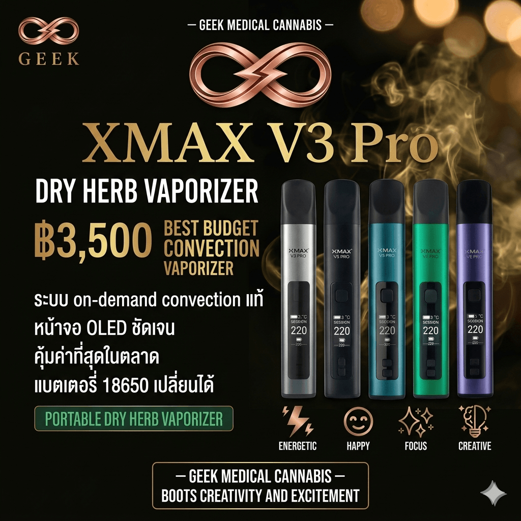 XMAX V3 Pro Vaporizer — Convection Dry Herb Vaporizer
